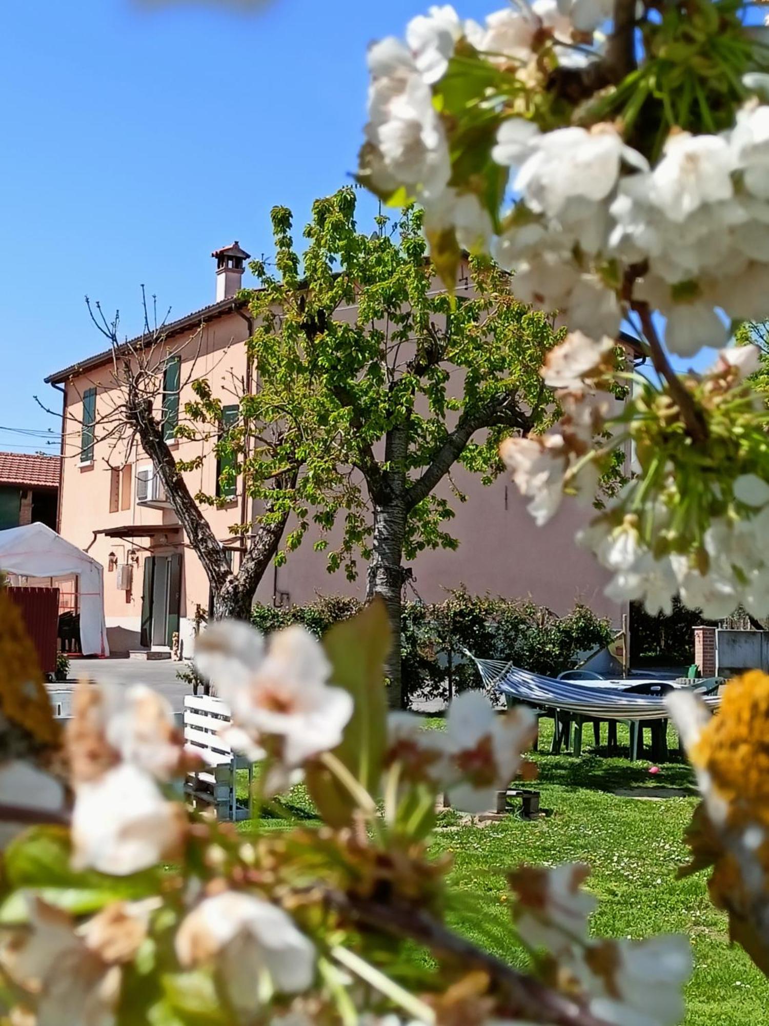 Bed and Breakfast La Casa Della Nonna Brisighella Zewnętrze zdjęcie